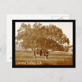 Carte postale (Devant / Derrière)