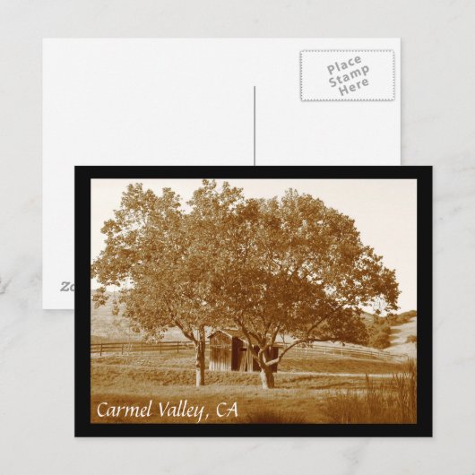 Carte postale (Devant / Derrière)