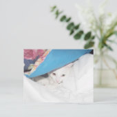 Carte postale (Debout devant)