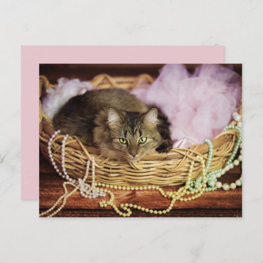 carte postale (Devant / Derrière)