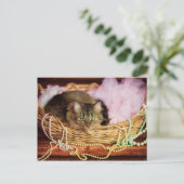 carte postale (Debout devant)