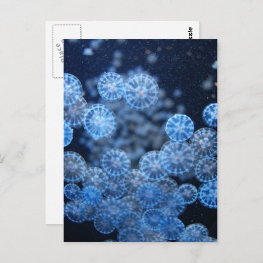 Carte postale (Devant / Derrière)