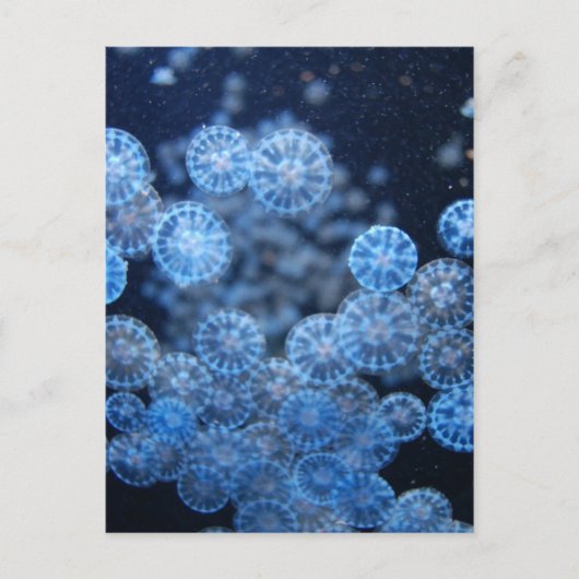 Carte postale (Devant)