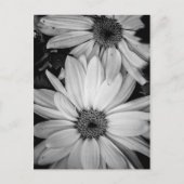 Carte postale (Devant)