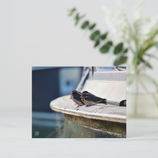 Carte postale (Debout devant)