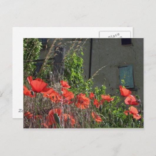 Carte postale (Devant / Derrière)