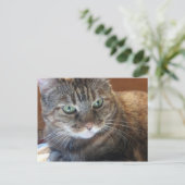 Carte postale (Debout devant)