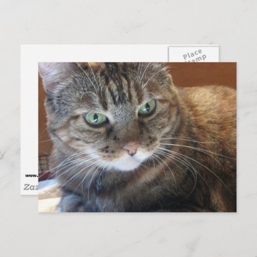 Carte postale (Devant / Derrière)