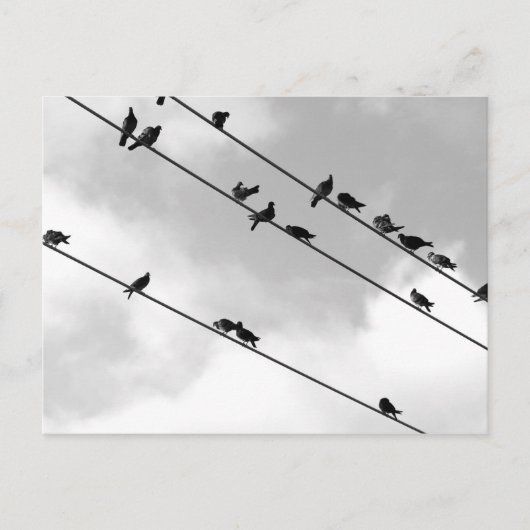 Carte postale (Devant)