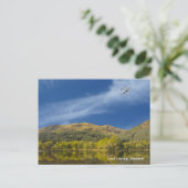 Carte postale (Debout devant)