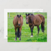 Carte postale (Devant / Derrière)