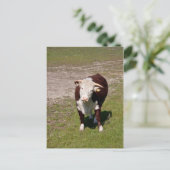 Carte postale (Debout devant)