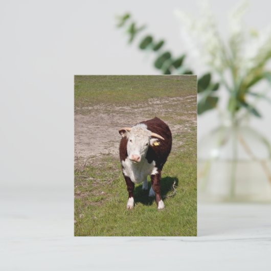 Carte postale (Debout devant)