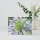 Carte postale (Debout devant)