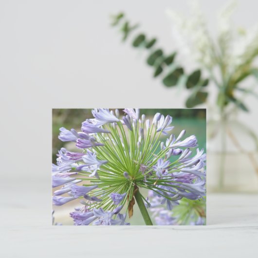 Carte postale (Debout devant)