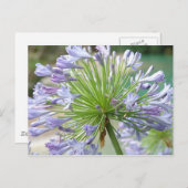 Carte postale (Devant / Derrière)