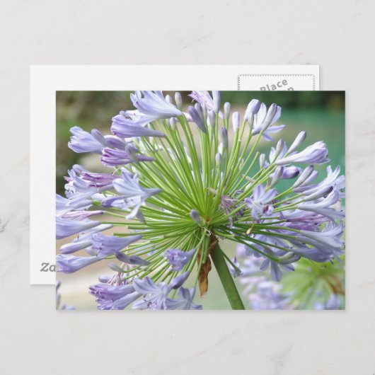 Carte postale (Devant / Derrière)