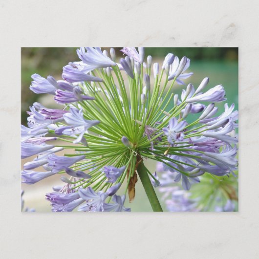 Carte postale (Devant)