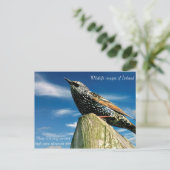 Carte postale (Debout devant)