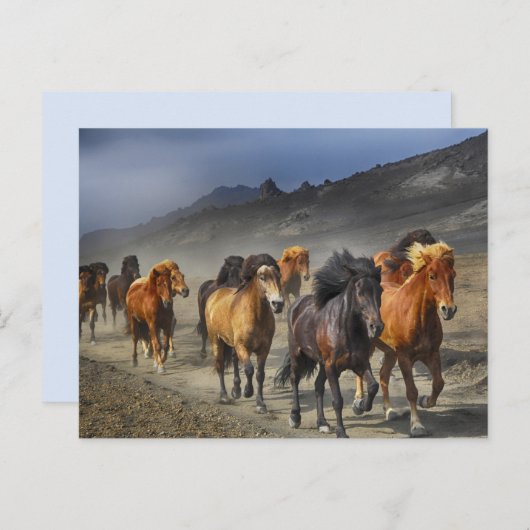 carte postale (Devant / Derrière)