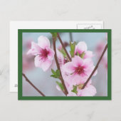 Carte postale (Devant / Derrière)