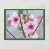 Carte postale (Devant)