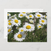 Carte postale (Devant / Derrière)