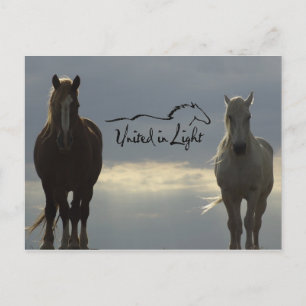 Carte postale