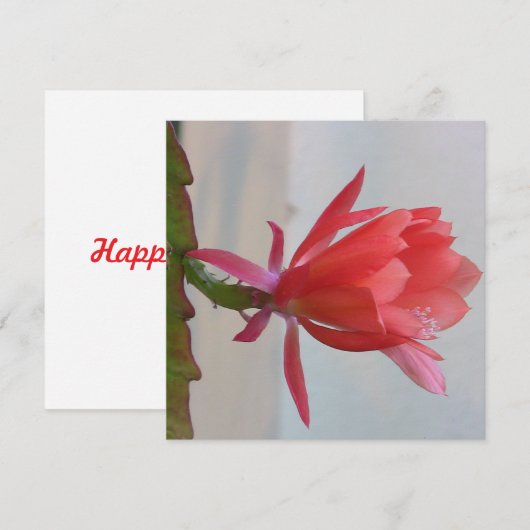 Carte postale (Devant / Derrière)