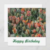 Carte postale (Devant / Derrière)