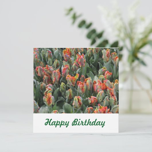 Carte postale (Debout devant)