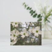 carte postale (Debout devant)