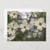 carte postale (Devant / Derrière)