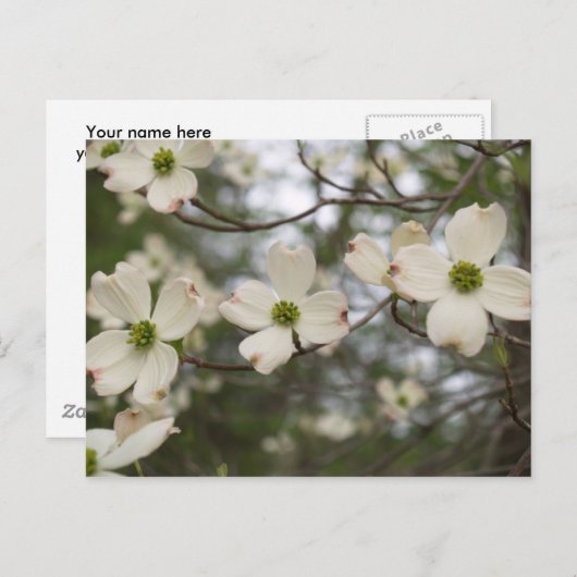 carte postale (Devant / Derrière)