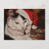 Carte postale (Devant)