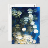 Carte postale (Devant / Derrière)