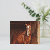 carte postale (Debout devant)