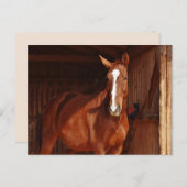 carte postale (Devant / Derrière)