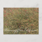 Carte postale (Devant)