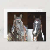 carte postale (Devant / Derrière)