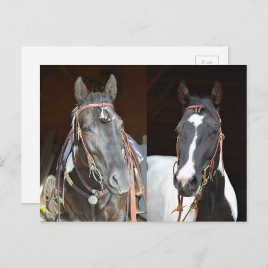 carte postale (Devant / Derrière)