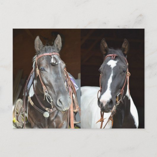 carte postale (Devant)