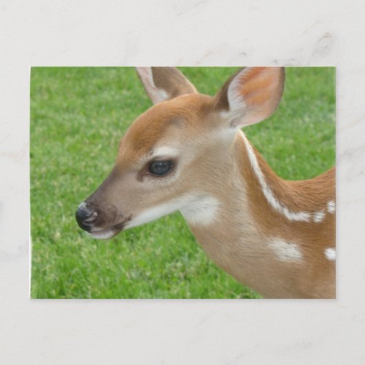 Carte postale (Devant)