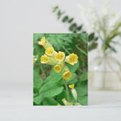 carte postale (Debout devant)