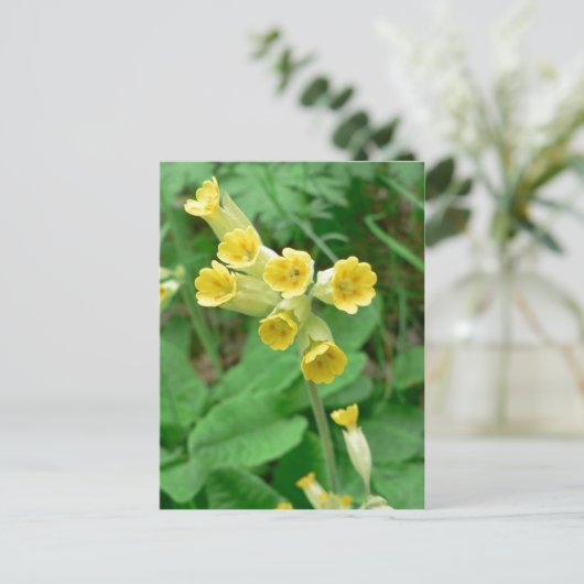 carte postale (Debout devant)