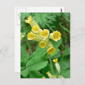 carte postale (Devant / Derrière)