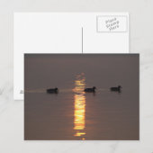 Carte postale (Devant / Derrière)