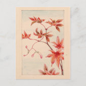 Carte postale (Devant)