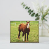 carte postale (Debout devant)