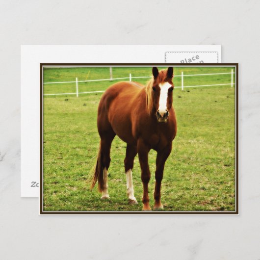 carte postale (Devant / Derrière)